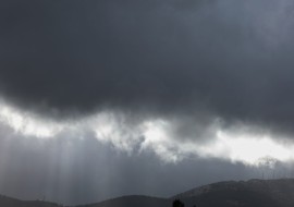 cache/resized/29685f05a5654eb281fa585b5bf17ef5.jpg