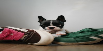 cache/resized/36d84eab8b1729a0d822b02e5576249d.jpg