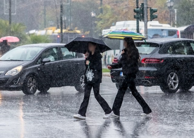cache/resized/505433b6c842a7e9525172d0cca0cf3c.jpg