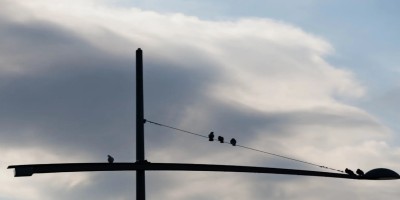 cache/resized/5d1fd8f56a37e581d9df382e4ebf2df9.jpg
