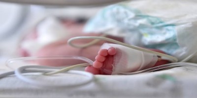 cache/resized/9329c103492846b25d6076b1afdb7085.jpg