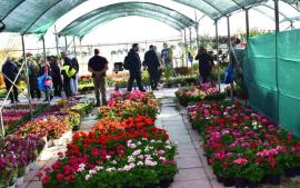 Θεσσαλονίκη: Ανοίγει τις πύλες της αύριο, Σάββατο η Ανθοκομική Έκθεση Καλαμαριάς