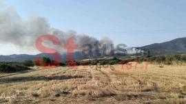 ΤΩΡΑ: Φωτιά στη Βόλβη  – Ήχησε το 112 