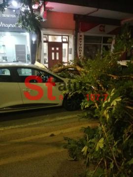 Θεσσαλονίκη: Δέντρο έπεσε επάνω σε αυτοκίνητα επί της Βασιλίσσης Όλγας