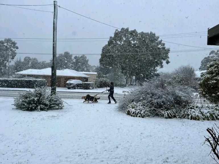 Αυστραλία: Σπάνια χιονόπτωση κάλυψε πόλεις στα ανατολικά - Έως και 50 εκατοστά το χιόνι σε μερικές περιοχές
