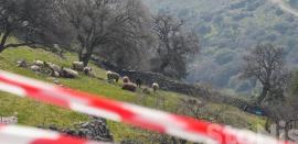 Λέσβος: Με προσωπικό ασφαλείας οι Δήμοι του νησιού την Δευτέρα λόγω του αφθώδους πυρετού