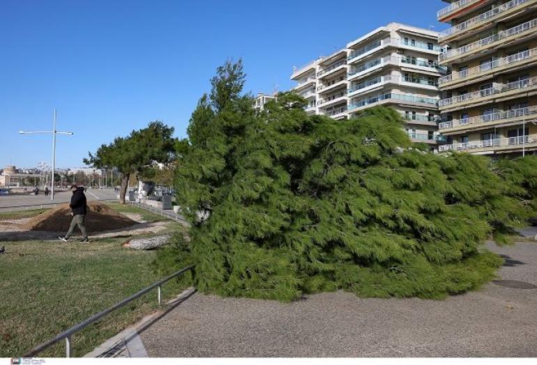 Ανεμοδαρμένη πόλη για 24 ώρες η Θεσσαλονίκη - Νέες πτώσεις δέντρων τη νύχτα από τους σφοδρούς βοριάδες