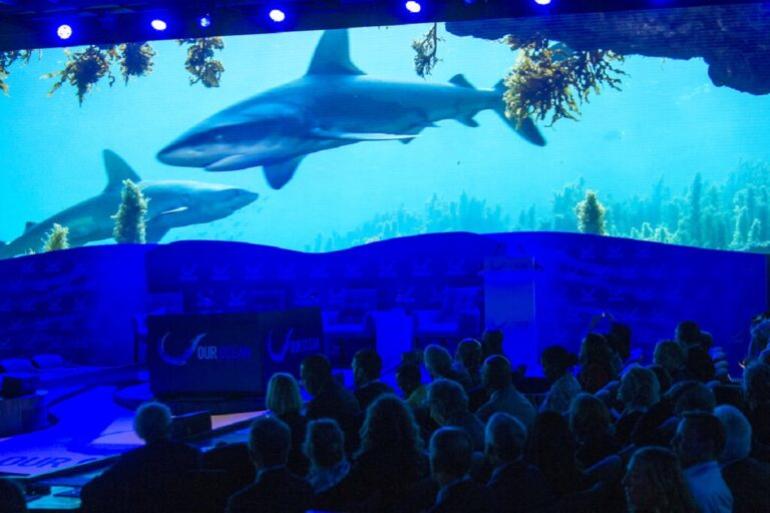 Ξεκινά την Τρίτη στην Αθήνα η Διεθνής Διάσκεψη για τους Ωκεανούς