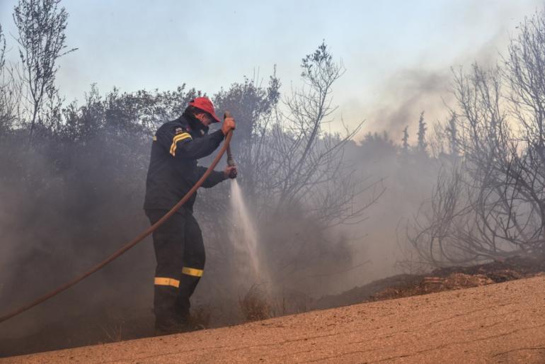 ΒΙΝΤΕΟ-Φωτιά στην Κοζάνη, στην περιοχή Παναγία Δρεπάνου – Πνέουν ισχυροί άνεμοι, ήχησε το 112