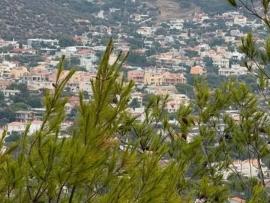 Παράταση ενός χρόνου για την εξαγορά των καταπατημένων ακινήτων του Δημοσίου