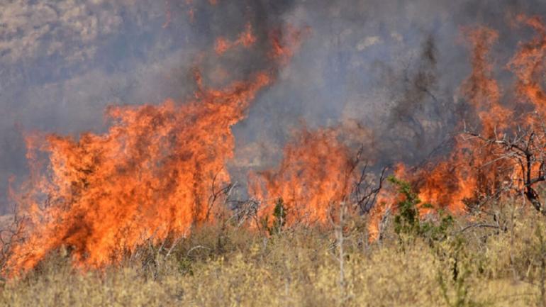 ΤΩΡΑ-Θεσσαλονίκη-Φωτιά σε ξερά χόρτα στον Γαλλικό ποταμό