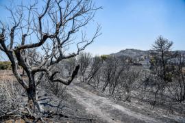 Πυρκαγιές στην Αχαΐα: Προφυλακιστέοι ο 25χρονος και ο 21χρονος για τη φωτιά στο Γηροκομείο