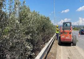ΠΚΜ: Εργασίες συντήρησης και κοπής πρασίνου από σήμερα στο έρεισμα της Ε.Ο. Θεσσαλονίκης – Ν. Μουδανιών