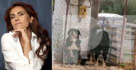 Θεσσαλονίκη: Σήμερα η κηδεία της 50χρονης που κατασπάραξαν σκυλιά στη Νεοχωρούδα