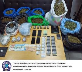 Θεσσαλονίκη: Καλλιεργούσαν 247 δενδρύλλια κάνναβης σε υπόγειο σπιτιού