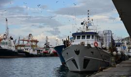 Σκληραίνουν τη στάση τους οι αλιείς στη Θεσσαλονίκη: “Επικοινωνιακός εμπαιγμός” τα νέα μέτρα – “Χωρίς ψάρια η αγορά αν δεν βρεθεί λύση”