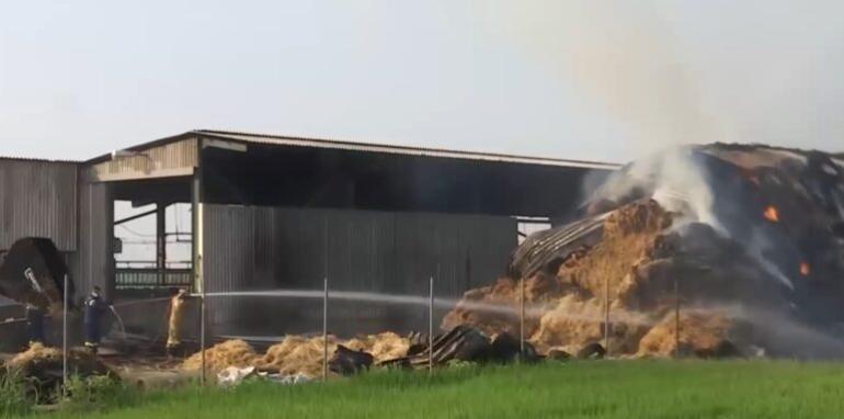 Θεσσαλονίκη: Υπό έλεγχο η φωτιά στη Χαλάστρα