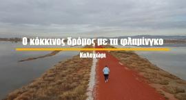 Ο κόκκινος δρόμος με τα φλαμίγκο