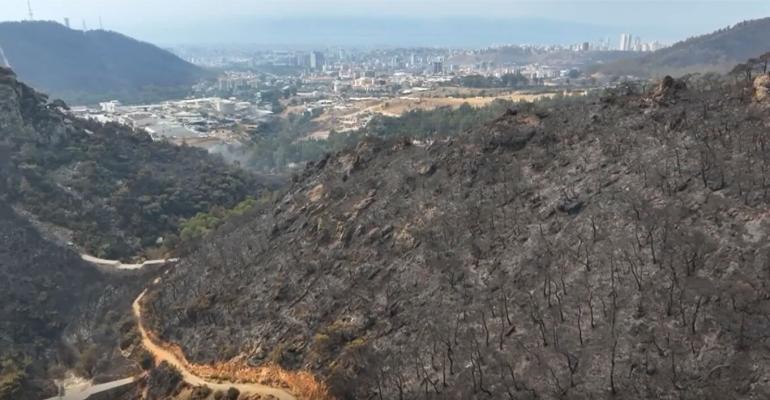 Τουρκία - 19 Πυρκαγιές μέσα σε τρεις ημέρες, χωρίς ενεργό μέτωπο η Σμύρνη - Επτά συλλήψεις