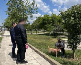 Θεσσαλονίκη: Βροχή τα πρόστιμα για τα τσιπάκια στα ζώα συντροφιάς