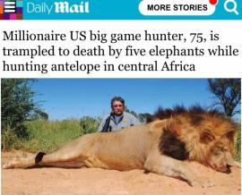 Ελέφαντες ποδοπάτησαν μέχρι θανάτου Αμερικανό εκατομμυριούχο που έκανε σαφάρι στην Αφρική