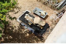 Άνω Λιόσια: Έμαθα ότι το σπίτι πλειστηριάστηκε - Έπρεπε να το αδειάσω -Τότε σκέφτηκα ότι έχω τον άνθρωπο μέσα