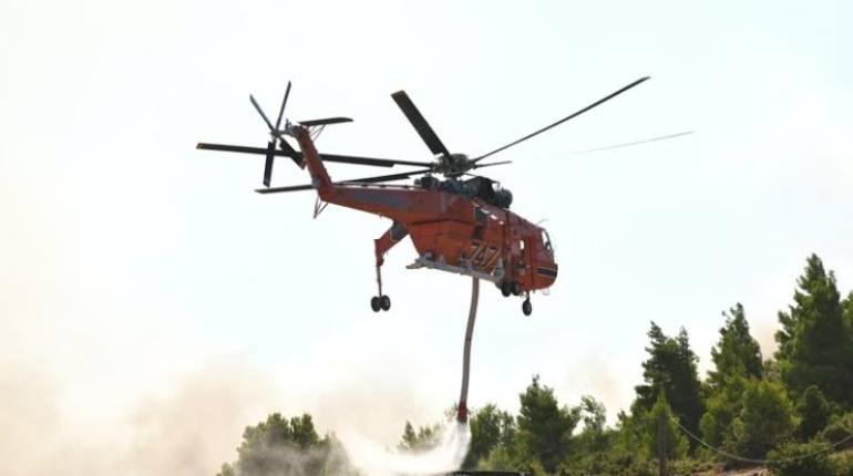 Φωτιά στα Γρεβενά – Καίει σε δασική έκταση στην περιοχή Κρανιά
