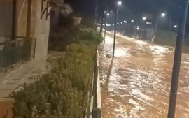 Χαλκιδική: Πώς θα αποζημιωθείτε αν η επιχείρησή σας επλήγη στον Bora