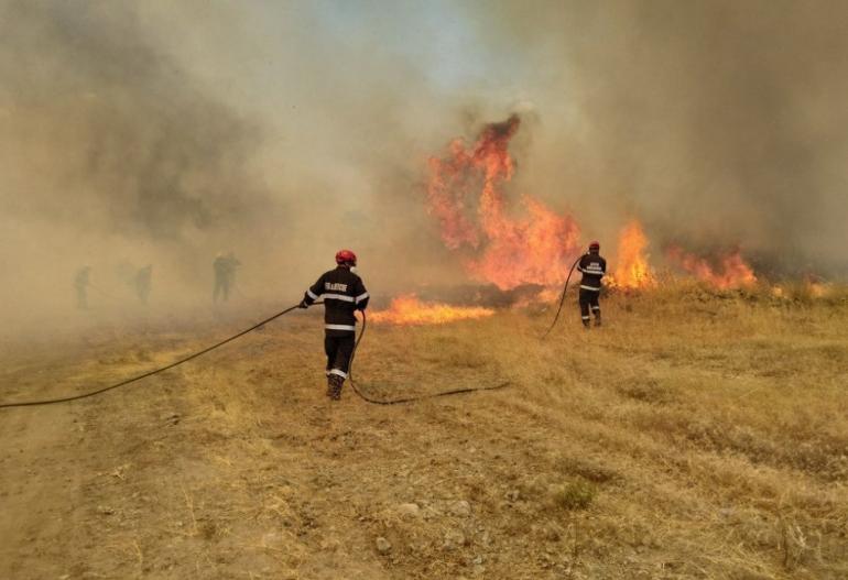 Θεσσαλονίκη: Φωτιά σε δασική έκταση κοντά στη Νέα Απολλωνία – Επί τόπου η Πυροσβεστική