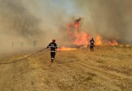 Θεσσαλονίκη: Φωτιά σε δασική έκταση κοντά στη Νέα Απολλωνία – Επί τόπου η Πυροσβεστική