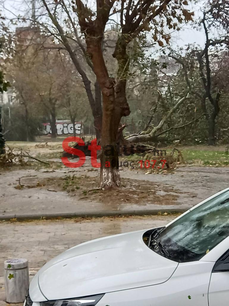 Κορυφώνεται η κακοκαιρία - Ζημιές σε υποδομές και πτώσεις δέντρων σε Θεσσαλονίκη και Χαλκιδική
