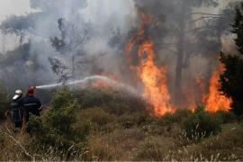 Υψηλός κίνδυνος πυρκαγιάς σήμερα σε Θεσσαλονίκη και Χαλκιδική