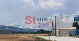 Φωτιά στο Δερβένι: Σορός άνδρα εντοπίστηκε σε δασική έκταση - Στο νοσοκομείο εγκαυματίας