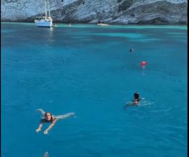 Ιθάκη: Αγριογούρουνο κυνήγησε τουρίστριες μέσα στη θάλασσα