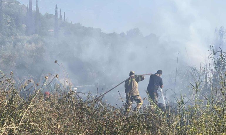 Φωτιά τώρα στη Μεσσηνία: Συναγερμός σε Αβραμιού και Καλαμάτα – Ισχυροί άνεμοι στην περιοχή