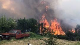ΕΛ.ΑΣ.: Νέες συλλήψεις για εμπρησμούς στην Πάτρα
