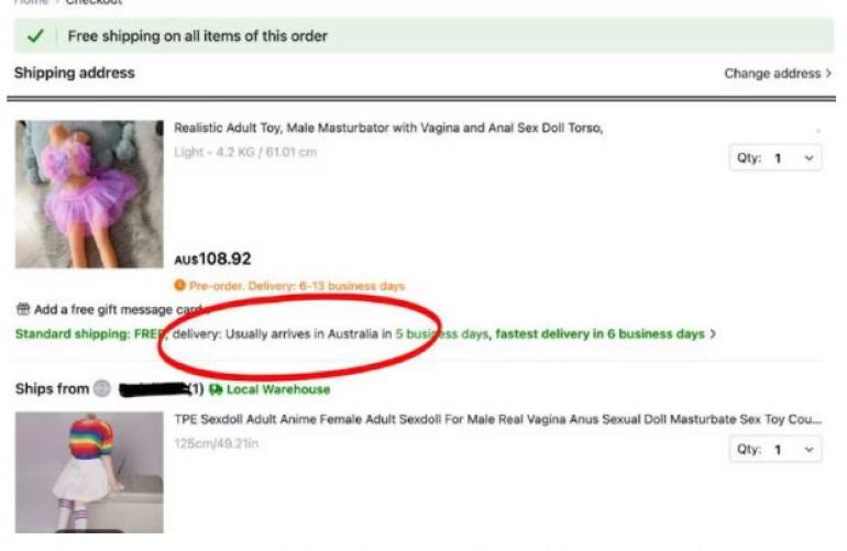 Shein: Στο φως τα ονόματα όσων αγόρασαν «ερωτικές κούκλες» που μοιάζουν με παιδιά