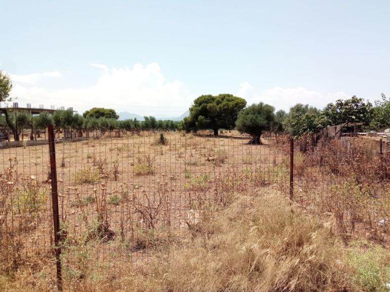 Πάνω από 200.000 οι δηλώσεις για τους καθαρισμούς οικοπέδων