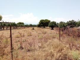 Πάνω από 200.000 οι δηλώσεις για τους καθαρισμούς οικοπέδων