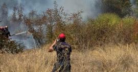 Σύλληψη και πρόστιμο για τον 50χρονο που κατηγορείται για την φωτιά στην Πλάκα Λιτοχώρου