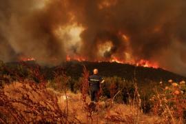 Υψηλός κίνδυνος πυρκαγιάς σήμερα σε Θεσσαλονίκη, Χαλκιδική και Κιλκίς