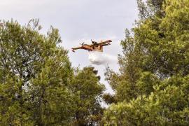Υπό έλεγχο το πύρινο μέτωπο στη Μυτιλήνη στην περιοχή Φίλια - Πέμπτη φωτιά μέσα σε 40 ώρες