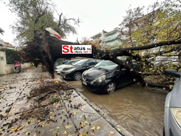 Θεσσαλονίκη: Σε κατάσταση έκτακτης ανάγκης ο δήμος λόγω Bora - Πάνω από 600 οι πτώσεις δέντρων