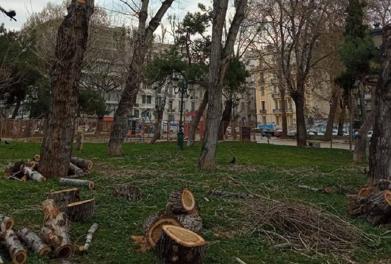 Θεσσαλονίκη: Αθώος ο Τρεμόπουλος και άλλοι 13 για τη διαμαρτυρία κατά της κοπής δέντρων στην Αρχαία Αγορά