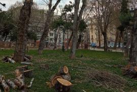 Θεσσαλονίκη: Αθώος ο Τρεμόπουλος και άλλοι 13 για τη διαμαρτυρία κατά της κοπής δέντρων στην Αρχαία Αγορά