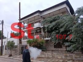 Δήμος Πυλαίας - Χορτιάτη: Τα πεσμένα δέντρα που έριξαν στο σκοτάδι τους κατοίκους