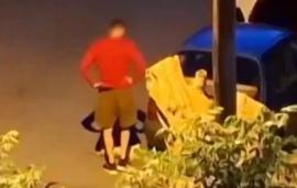 Καλαμαριά - Θεσσαλονίκη: Απολογείται σήμερα ο 34χρονος που σκότωσε το γατάκι