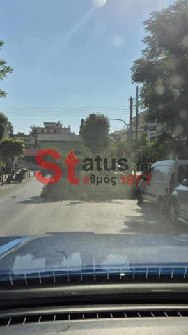 Έπεσε δέντρο στην Αλ. Παπαναστασιου & Νικ. Πλαστήρα