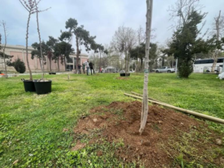 ΒΙΝΤΕΟ-ΦΩΤΟ-Θεσσαλονίκη: Νέα δεντροφύτευση στη Νέα Παραλία - Έρχονται ακόμη δύο πάρκα τσέπης