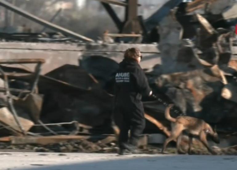 Με τη συνδρομή σκύλων – ανιχνευτών οι έρευνες στη «Βιολάντα»